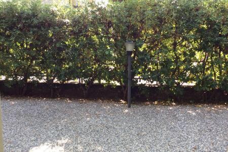 Residence Apuamare Pietrasanta Eksteriør bilde